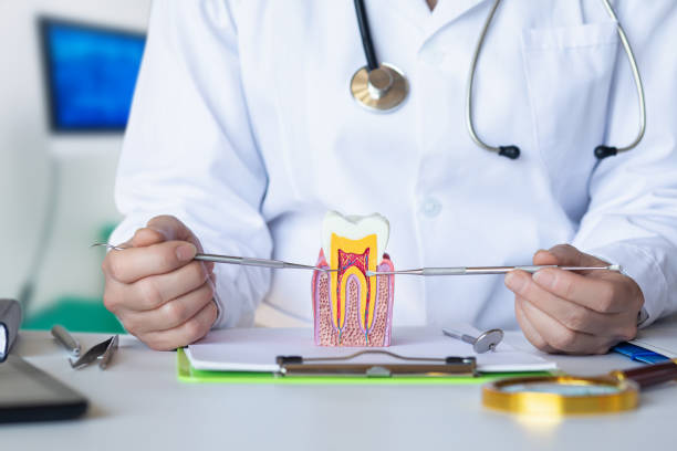 Best Emergency Denture Repair in Etowah, TN